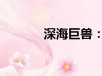 深海巨兽：皱鳃鲨的神秘面纱