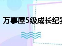 万事屋5级成长纪实：如何迈向成功的阶梯？