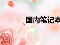 国内笔记本电脑市场排名解析