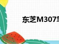 东芝M307笔记本详细参数介绍