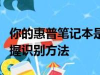你的惠普笔记本是哪款？一篇文章让你轻松掌握识别方法