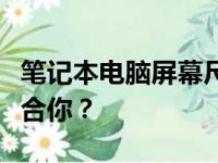 笔记本电脑屏幕尺寸选择指南：哪个尺寸更适合你？