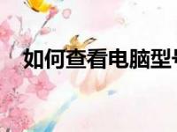 如何查看电脑型号：详细步骤及注意事项