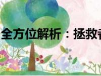 全方位解析：拯救者笔记本电脑的性能与特色