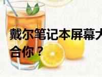 戴尔笔记本屏幕大小解析：多少寸的荧幕更适合你？