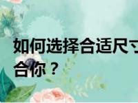 如何选择合适尺寸的笔记本电脑：多少寸最适合你？