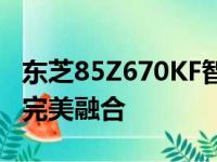 东芝85Z670KF智能冰箱评测：科技与家居的完美融合