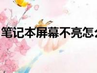 笔记本屏幕不亮怎么办？常见原因及解决方案