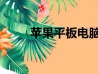 苹果平板电脑下载软件的详细指南