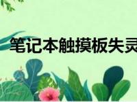 笔记本触摸板失灵解决方法与常见问题分析