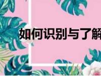 如何识别与了解笔记本电脑型号全攻略