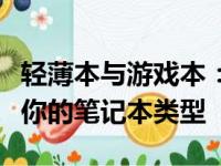 轻薄本与游戏本：深度解析差异，选择更适合你的笔记本类型