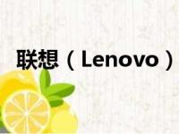 联想（Lenovo）在美国的业务发展与策略