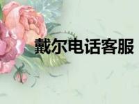 戴尔电话客服：专业解答，贴心服务