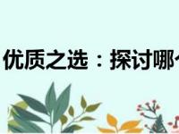 优质之选：探讨哪个牌子的笔记本电脑最好用