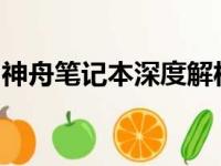 神舟笔记本深度解析：性能、品质与口碑评价