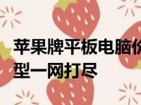 苹果牌平板电脑价格大全：从入门款到高端机型一网打尽