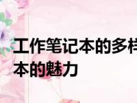 工作笔记本的多样性与实用性：从图片看笔记本的魅力