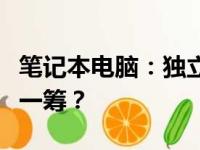 笔记本电脑：独立显卡与集成显卡，哪个更胜一筹？
