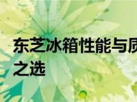 东芝冰箱性能与质量评测：值得你拥有的家电之选