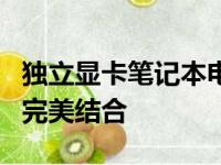 独立显卡笔记本电脑推荐：高性能与便携性的完美结合