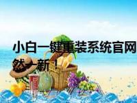 小白一键重装系统官网：轻松实现系统重装，让您的电脑焕然一新！
