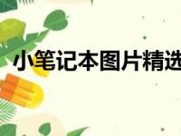 小笔记本图片精选：风格与用途的多样展示