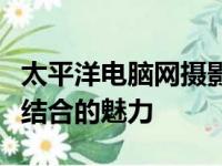 太平洋电脑网摄影部落：探索摄影艺术与技术结合的魅力