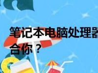笔记本电脑处理器性能对比：哪个处理器更适合你？