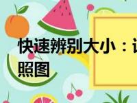 快速辨别大小：详细对比14寸和15寸尺寸参照图