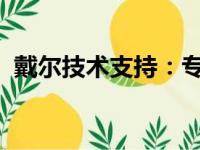 戴尔技术支持：专业人工客服为您解答疑难